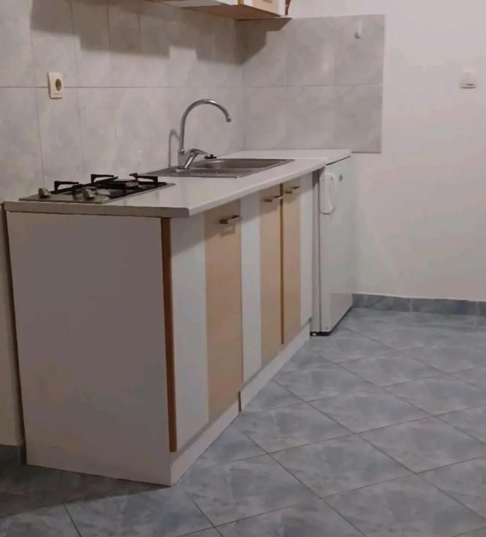 Apartments Gavro Vir