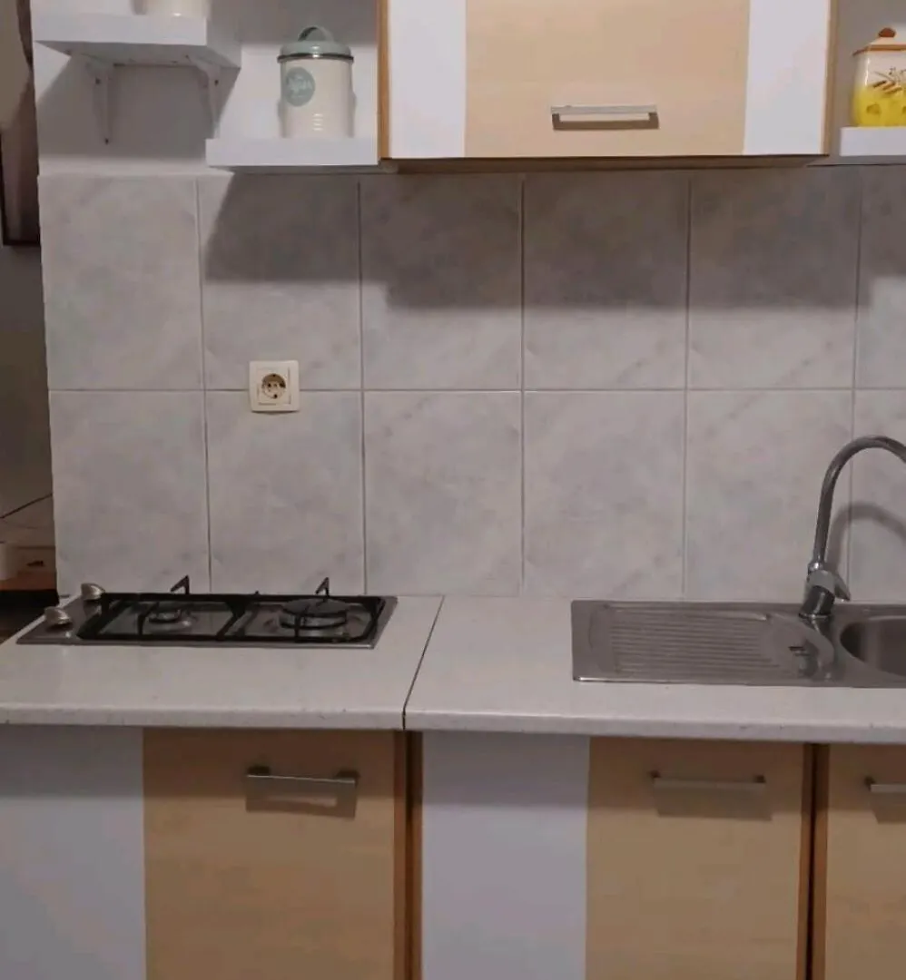 Apartments Gavro Vir