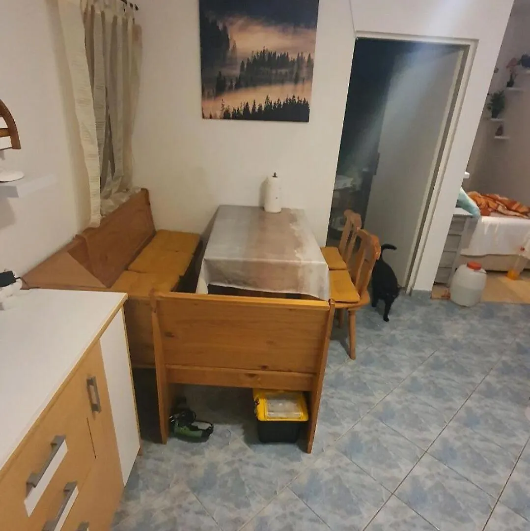 Apartments Gavro Vir